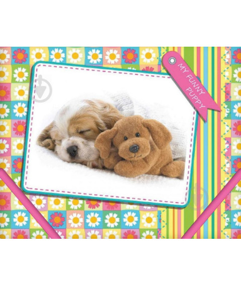 Mapa cu elastic CFS B5 (plastic/catelus) CF31642-01